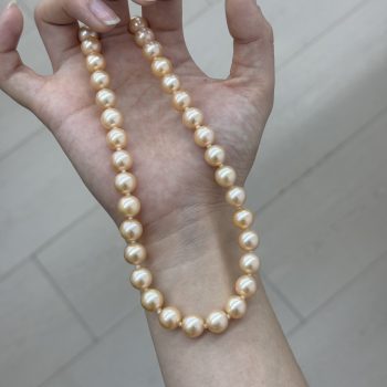Freshwater Pearl Champagne Necklace 8mm+